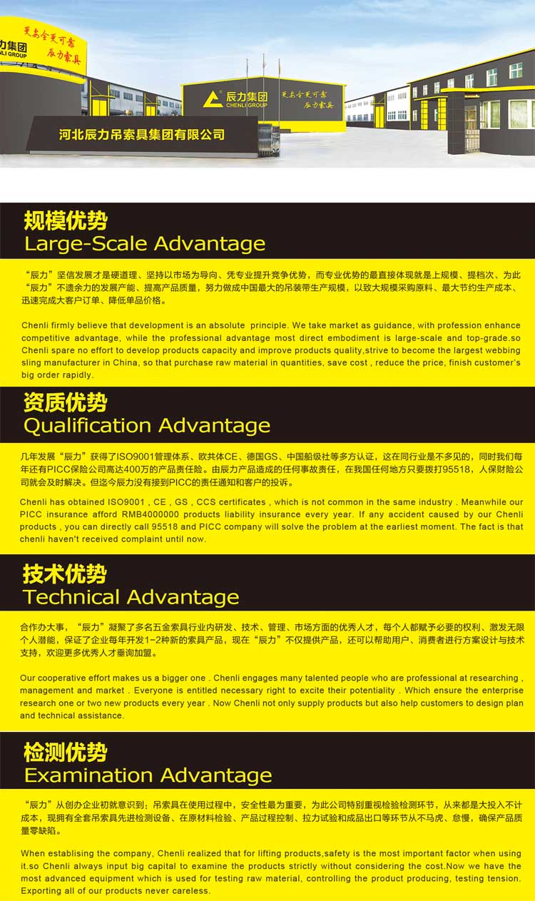 辰力集团优势